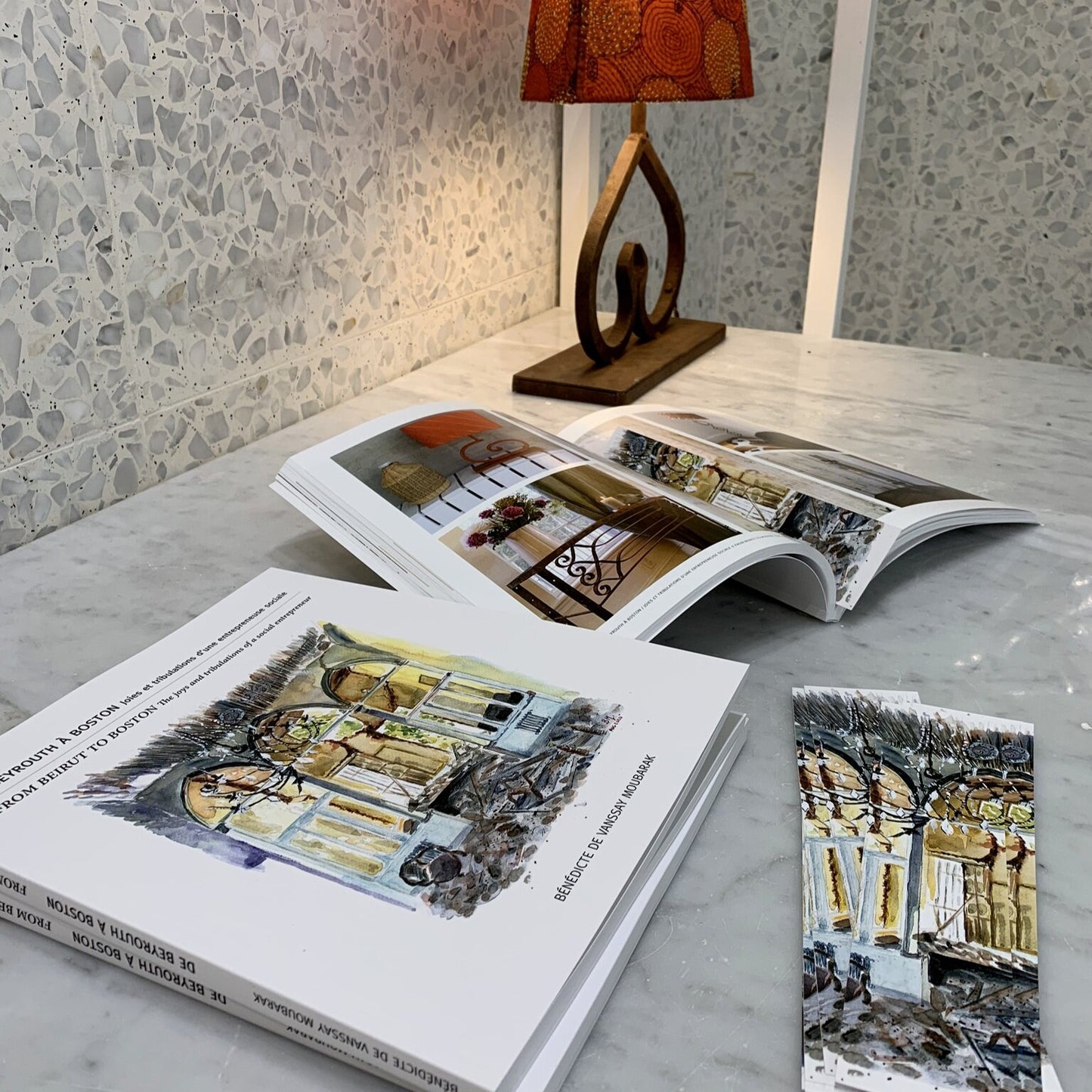 The Book « Joys and tribulations of a social entrepreneur »