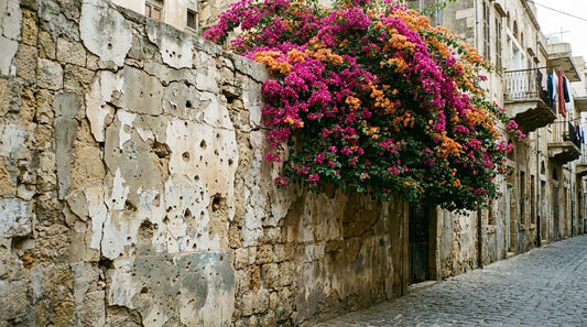 Inspiration Beyrouth | Chroniques Visuelles d'une Ville